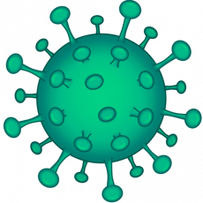 7 DE ABRIL, DIA MUNDIAL DE LA SALUD:  ¿Afecta el coronavirus a la salud sexual?